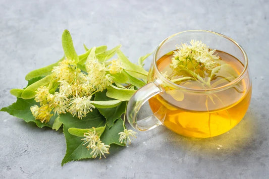 Steaming cup of linden tea with fresh linden blossoms on a wooden table